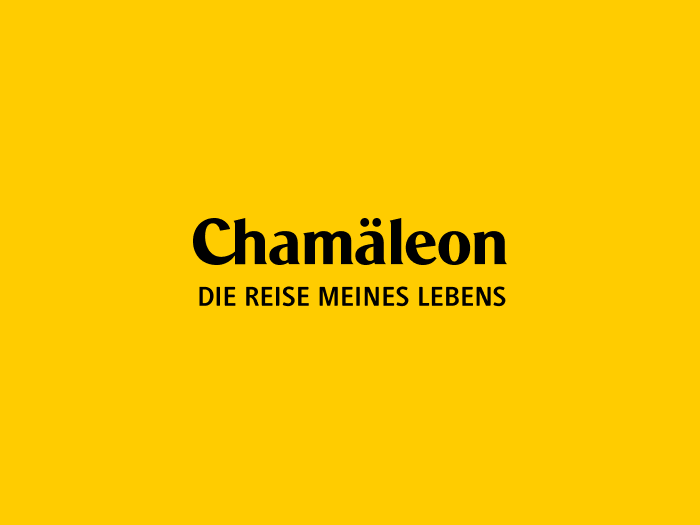 CHA-Logo auf Gelb |  Chamleon
