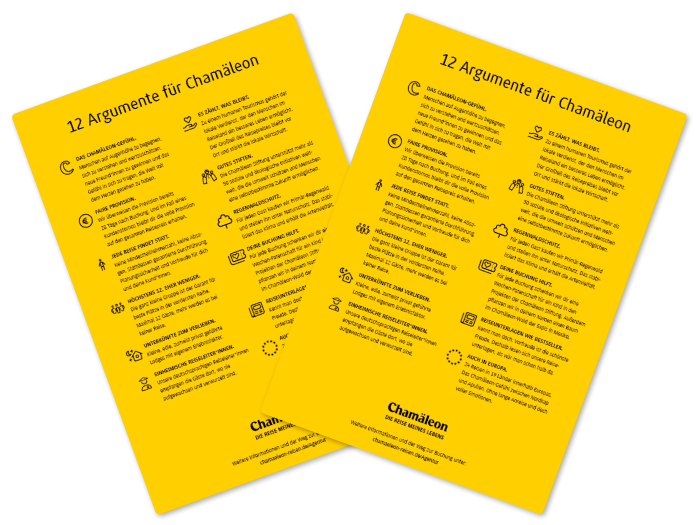 ExcessCard, Wendekarte |  Chamleon