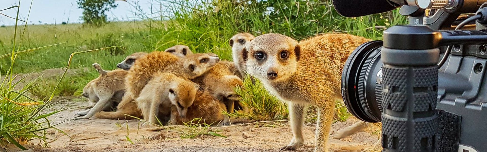 Dreharbeiten bei den Erdmnnchen |  Alexander Sass / Chamleon