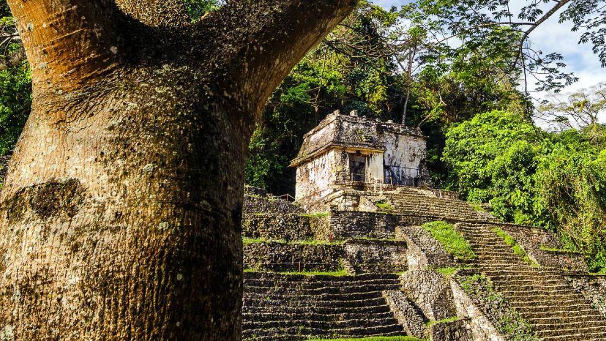 Tempel in Palenque |  DC_Colombia, iStockphoto / Chamleon
