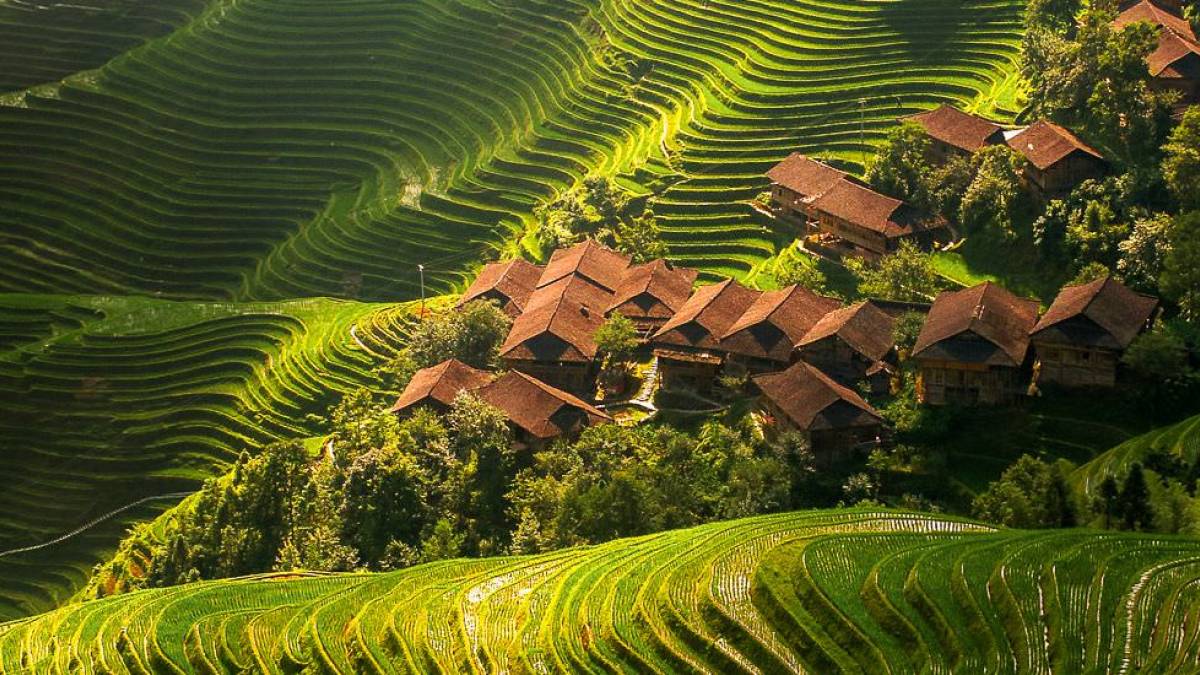 Reisterrassen von Longsheng |  China Tours / Chamleon