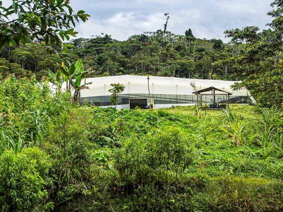 Ein Gewchshaus mitten im grnen Dschungel |  Alfonso Tandazo, Surtrek / Chamleon