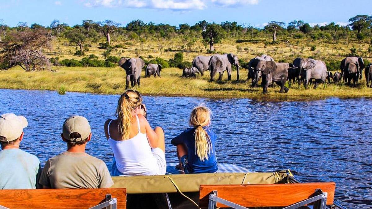 Bootsfahrt auf dem Chobe-River |  Gondwana Collection / Chamleon