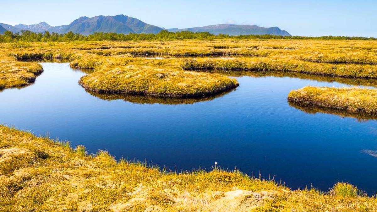 Norwegische Tundra |  Chris Stenger, Unsplash / Chamleon