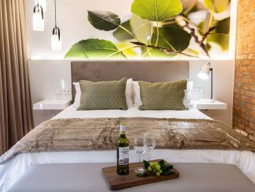 Windhoek Luxury Suites |  Windhoek Luxury Suites / Chamleon