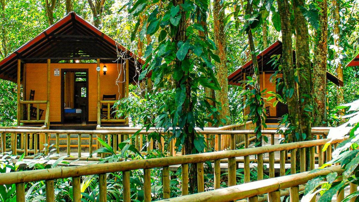 Evergreen Lodge |  Melina Jaxtheimer / Chamleon