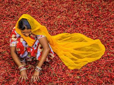 Indien Nepal SriLanka Trailer |  Chamleon