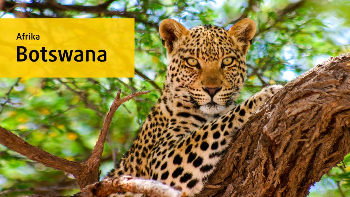 Botswana Trailer Eigenproduktion 2018