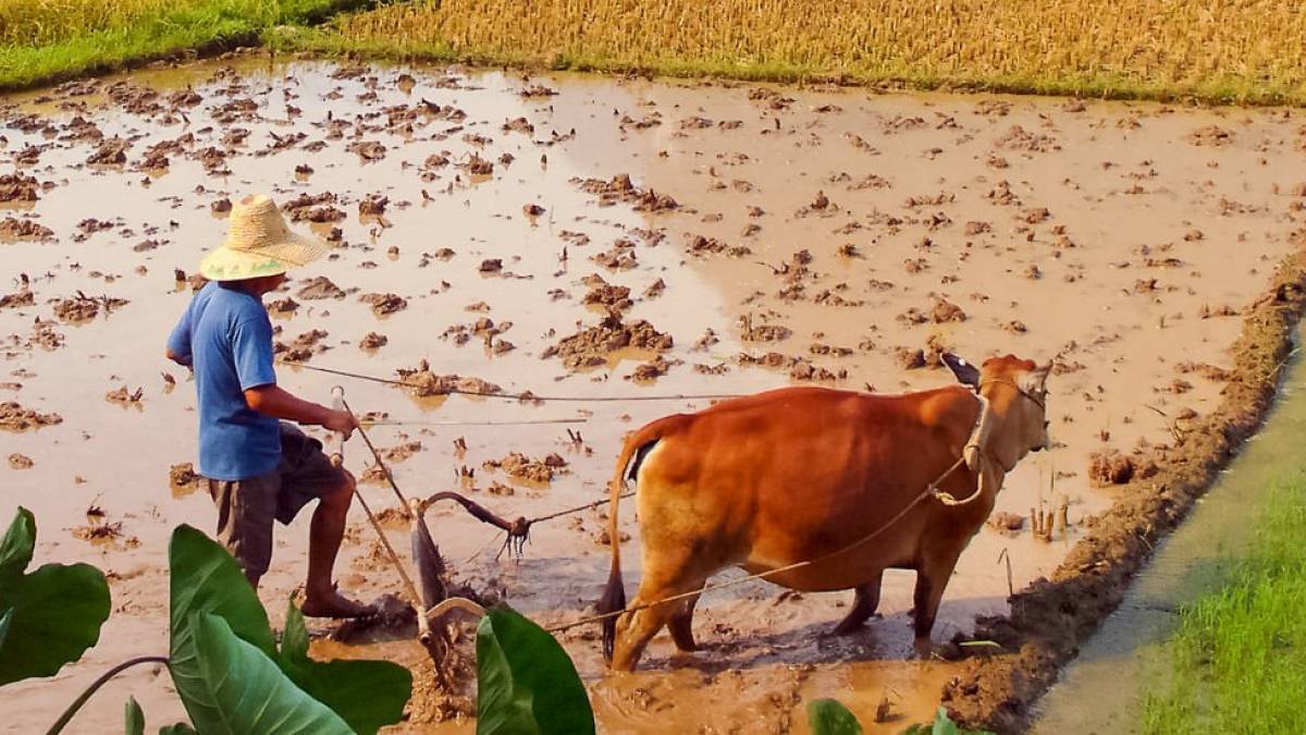 Bauer bei der Feldarbeit in Guilin |  Hannes Schleicher / Chamleon