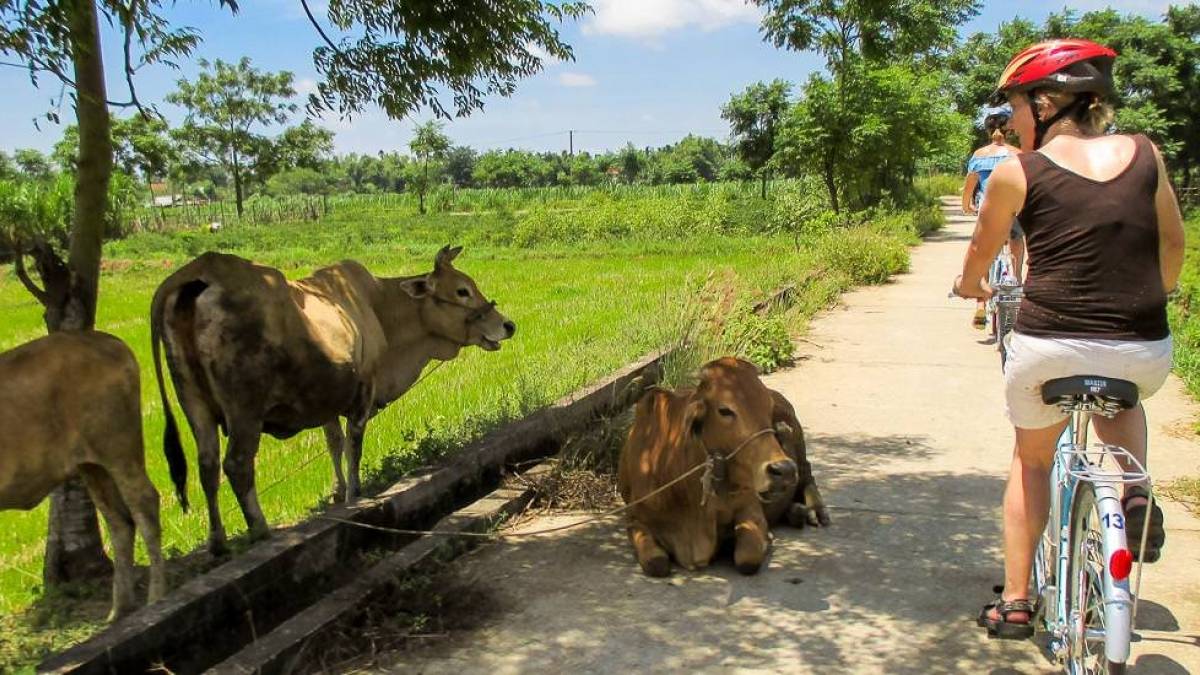 Radfahren auf dem Land |  Claudia Exner / Chamleon