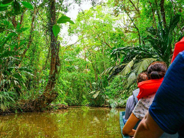 Regenwald Tortuguero |  Mathias Trojahn / Chamleon