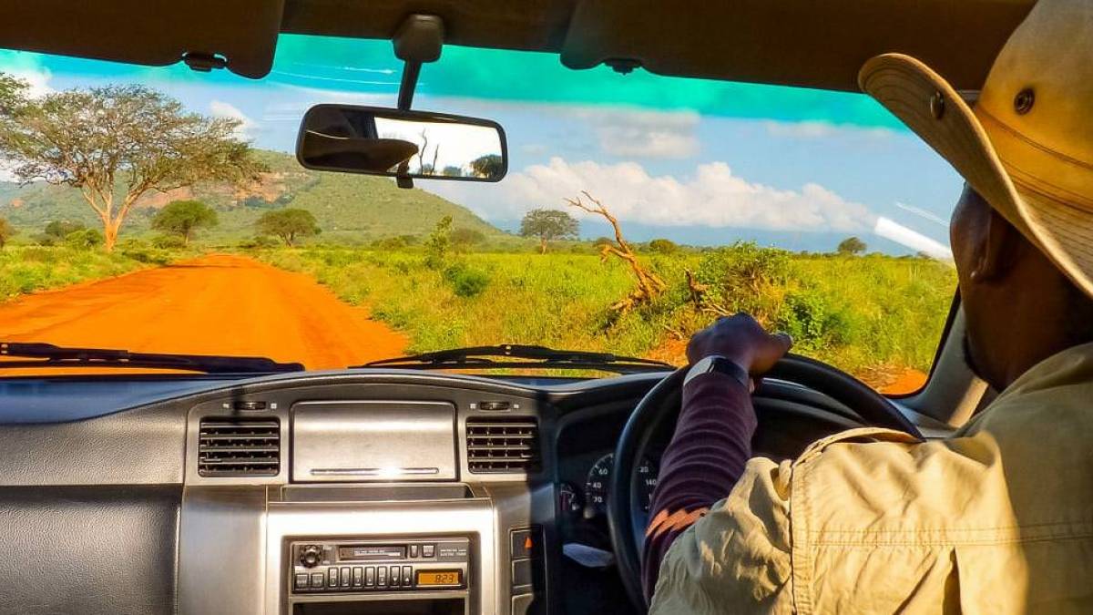 Safari |  Ute Tschersich / Chamleon