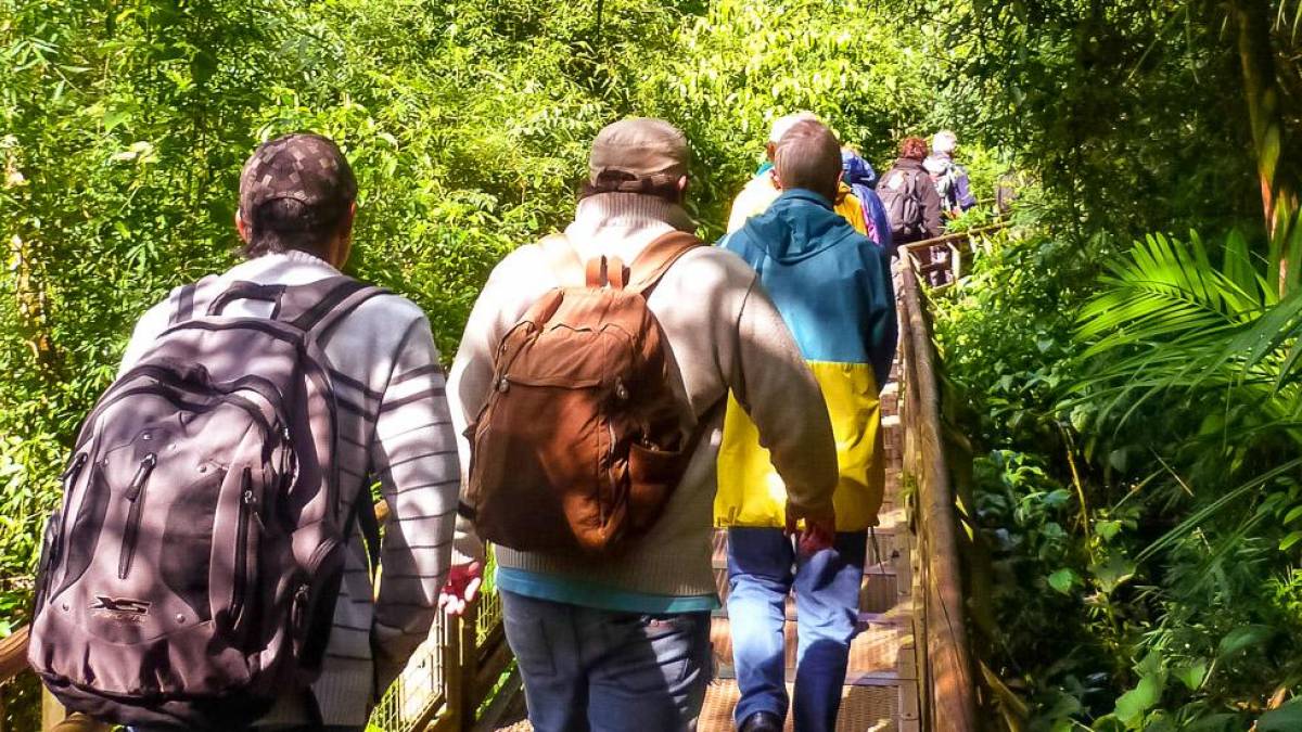 Zu Fu durch den Regenwald |  Ideia Tours / Chamleon