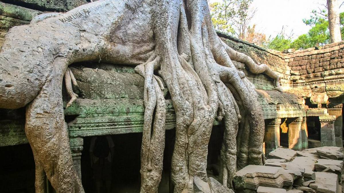Ta Prohm in Angkor |  A. Schuhmacher-Plesse / Chamleon