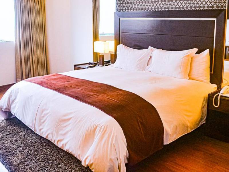 Hotel Jose Antonio Lima |  Hotel Jose Antonio Lima, Chamleon