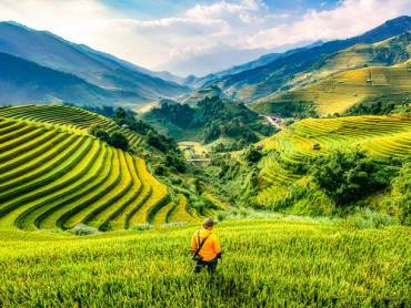 Mann in den Reisterrassen