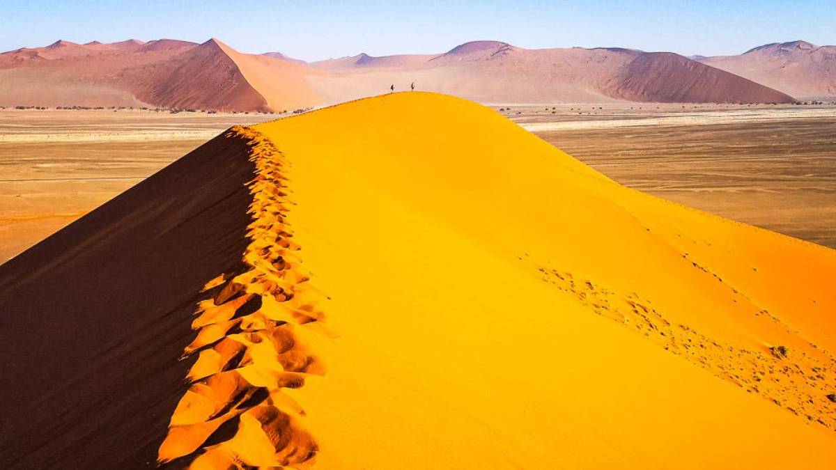 Dune 45 |  Nicole Nieuwenhuysen / Chamleon