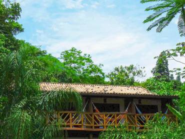 Pousada Naturala |  Pousada Naturalia / Chamleon