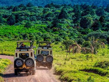 Videoteaser Sdafrika |  Chamleon