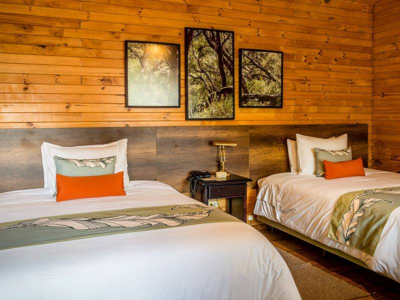 Termas De Papallacta |  Termas De Papallacta / Chamleon