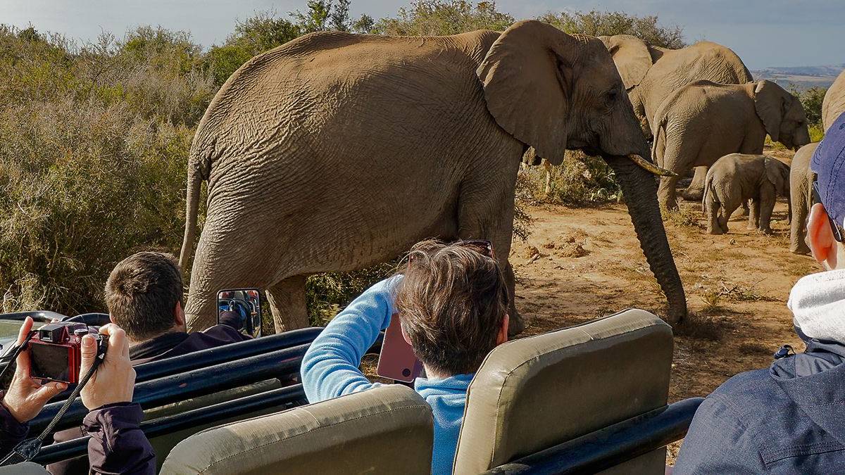 Fotos auf Safari |  Claudia Exner / Chamleon