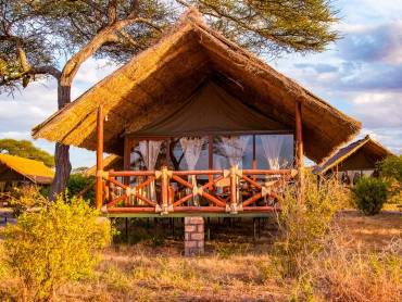 Tarangire Simba Lodge |  Tarangire Simba Lodge / Chamleon