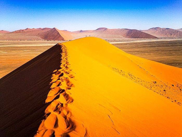 Dune 45 |  Nicole Nieuwenhuysen / Chamleon