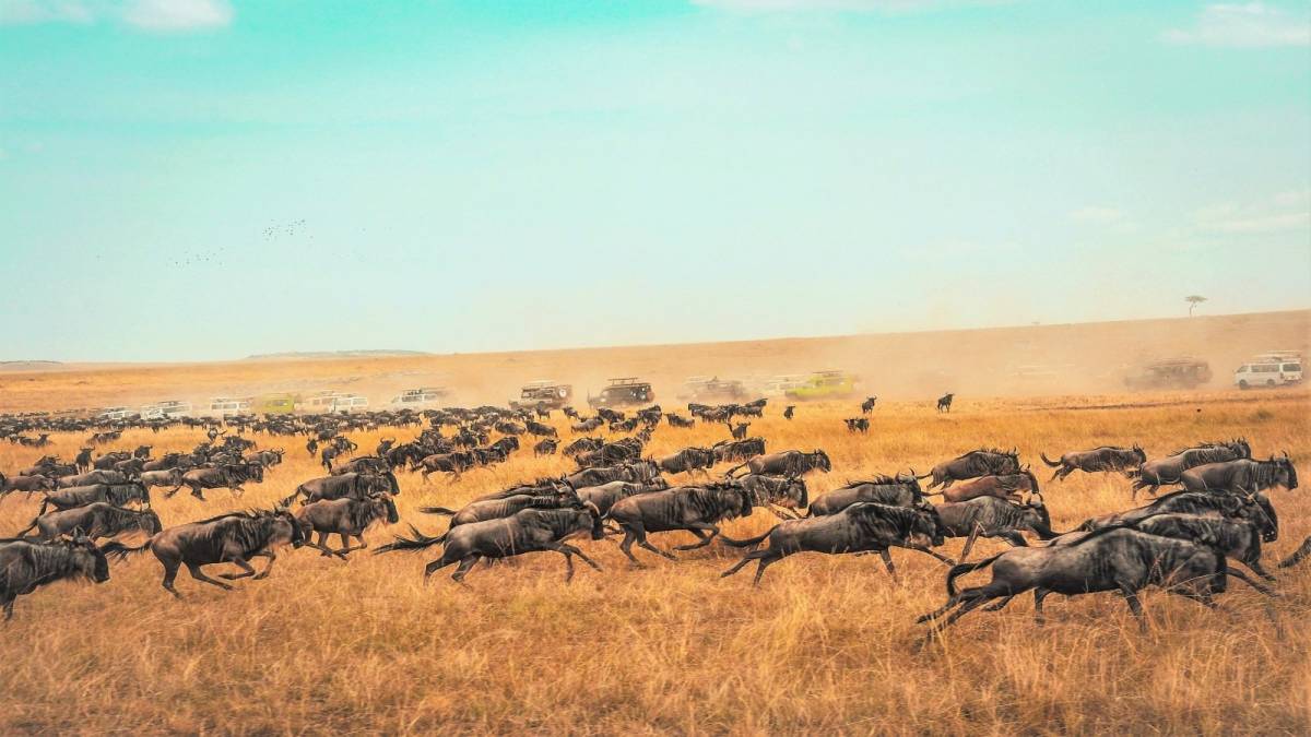 Kenia - COME LIVE THE MAGIC (Magical Kenia)