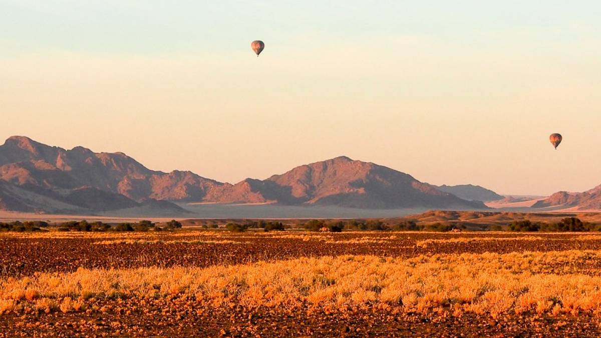 Morgendlicher Wstenausflug |  Annette Vasel / Chamleon