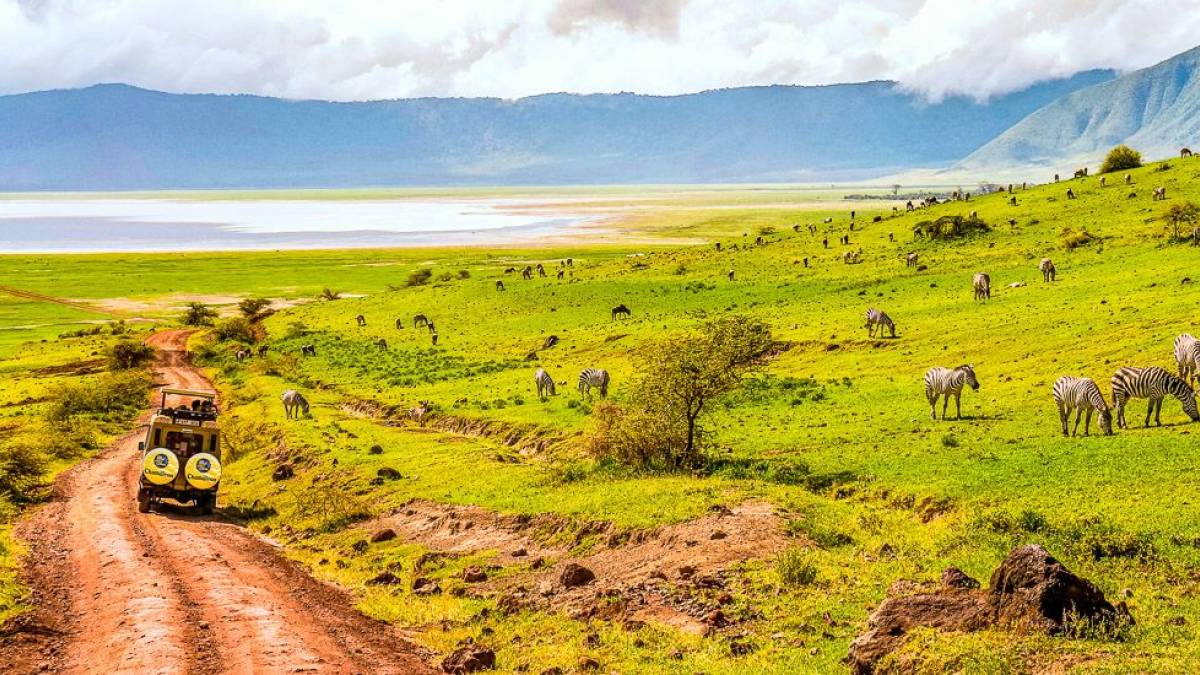 Safari im Ngorongoro-Krater |  Alexander Sass / Chamleon