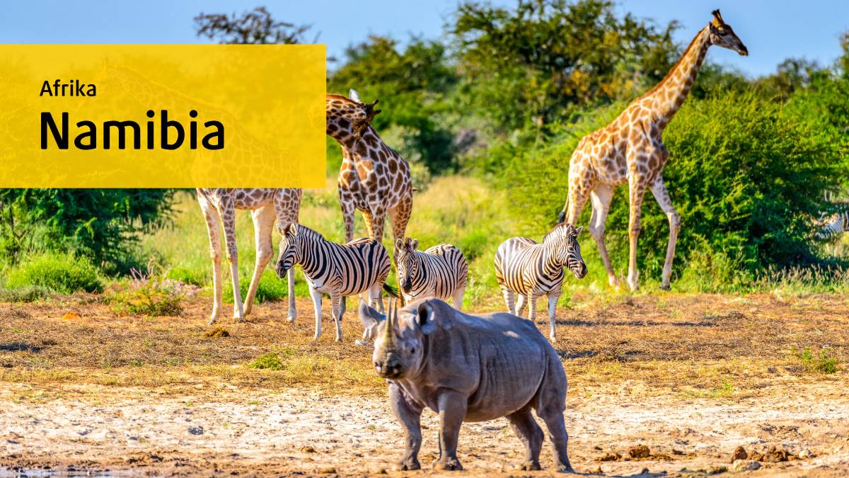 Namibia  Luxus der Weite (2018)