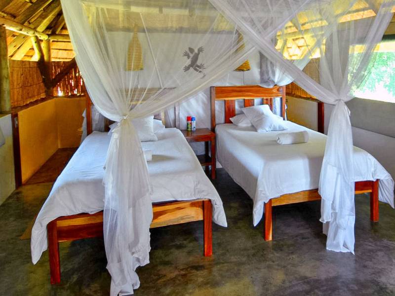 Nunda River Lodge |  Nunda River Lodge / Chamleon