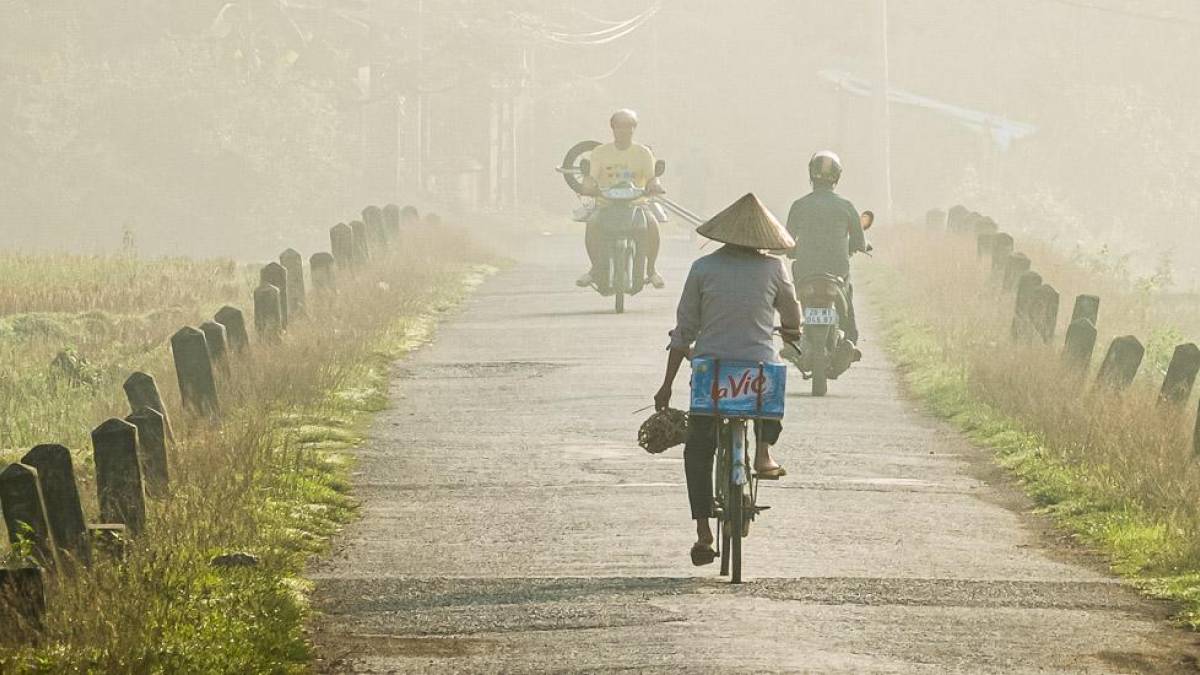 Morgennebel |  Cornelia Krohne / Chamleon