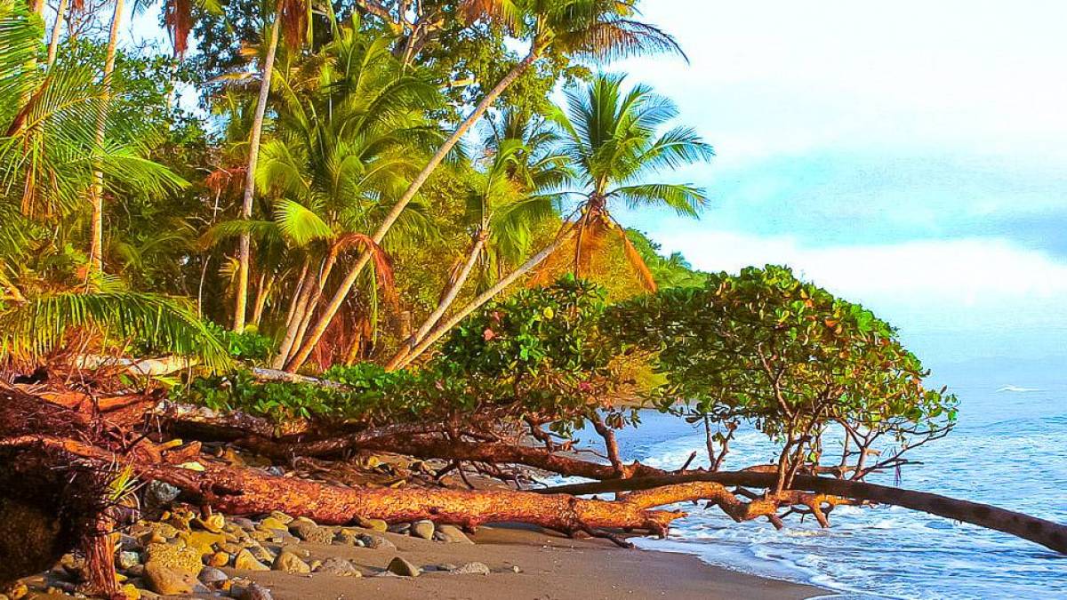 Strand am Golfo Dulce |  Heike Schrder / Chamleon