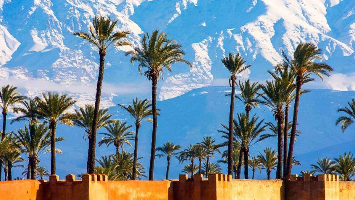 Palmen, Mauern und schneebedeckte Berge in Marrakesch |  fafou, iStockphoto.com / Chamleon
