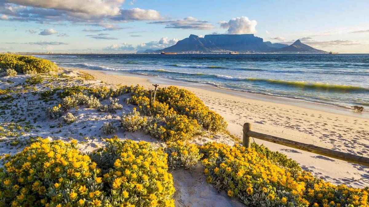 Blick auf den Tafelberg |  Ilonde, iStockphoto.com / Chamleon