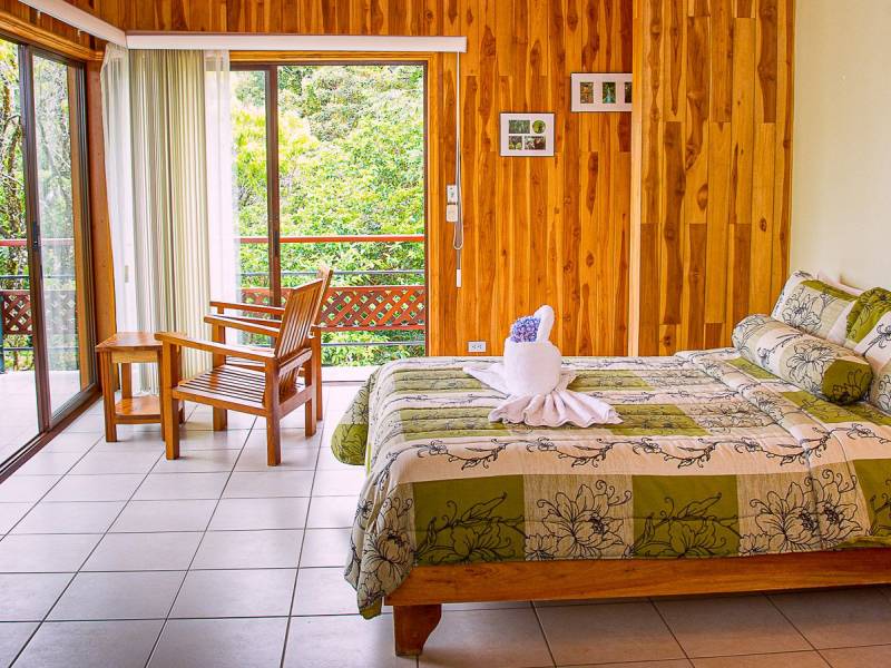 Ficus Lodge |  Eduardo Loria, Ficus Sunset Suites / Chamleon