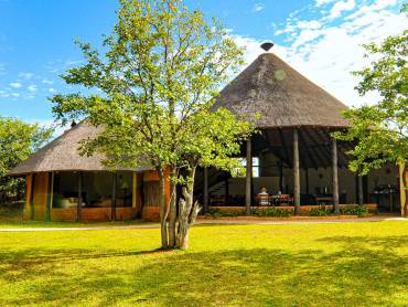 Mopane Bush Lodge |  Mopane Bush Lodge / Chamleon