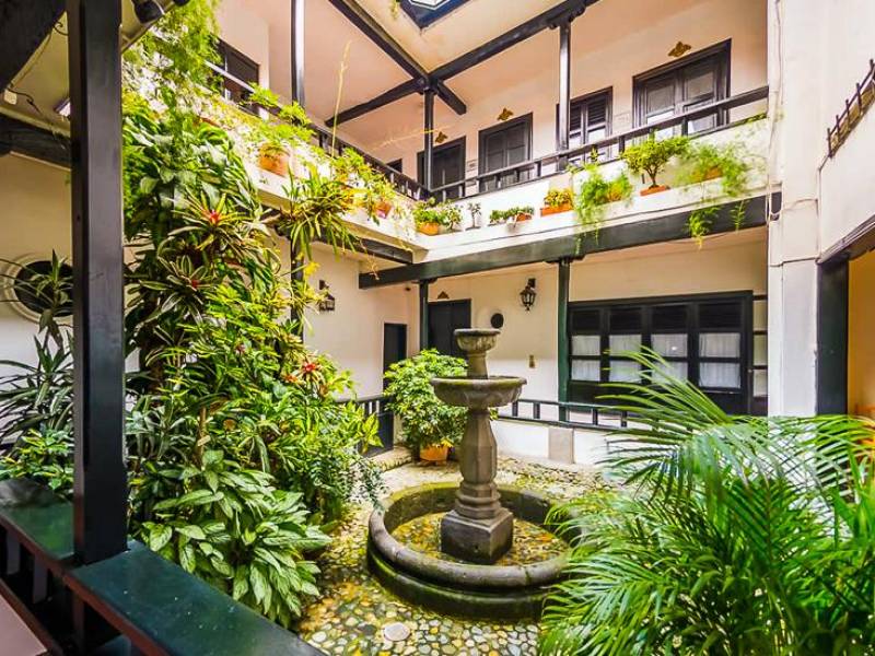 Camino Real |  Carlos Mafla, Camino Real / Chamleon