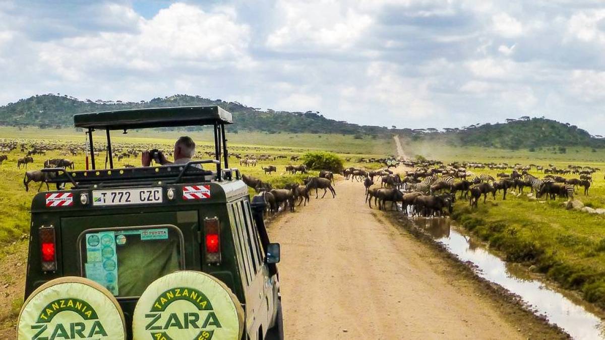 Safari in der Serengeti |  Katrin Dohmen / Chamleon