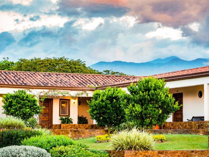 Estrella del Monte |  Kelly Wilkinson, Estrella del Monte / Chamleon