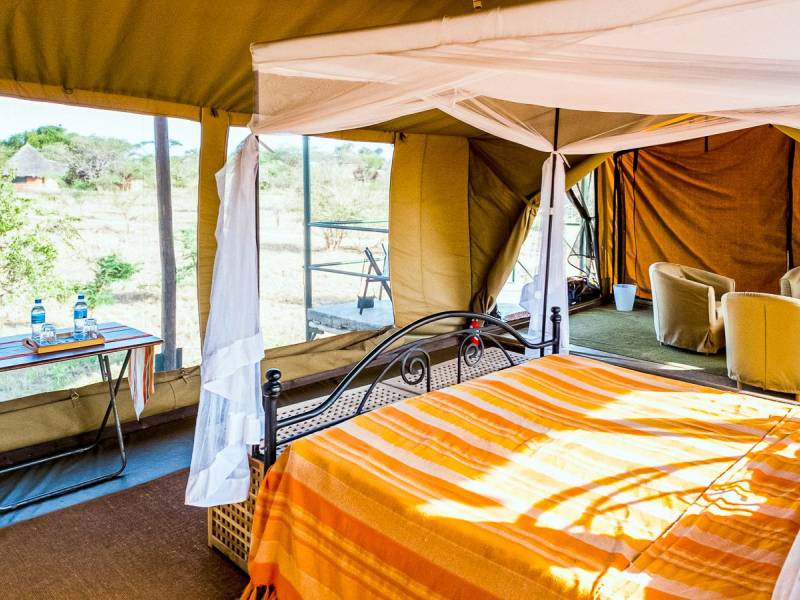 Ikoma Wild Camp |  Tyler Sharp, Zara Tours / Chamleon