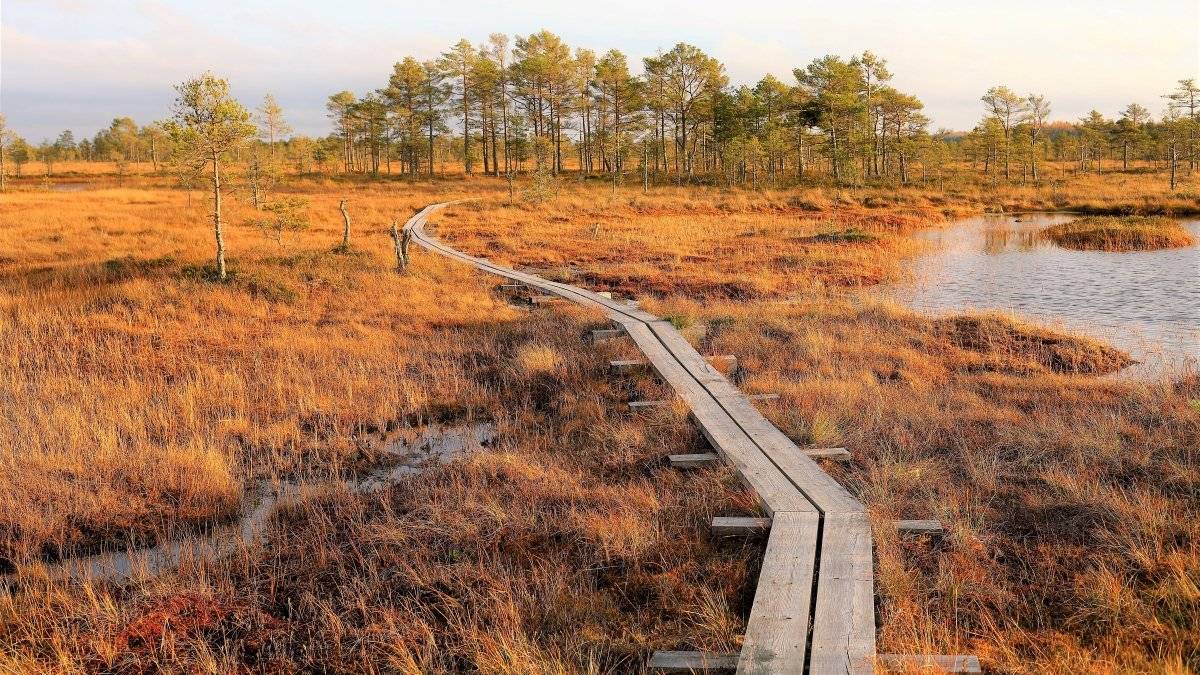 Estland: not your average bucket list destination