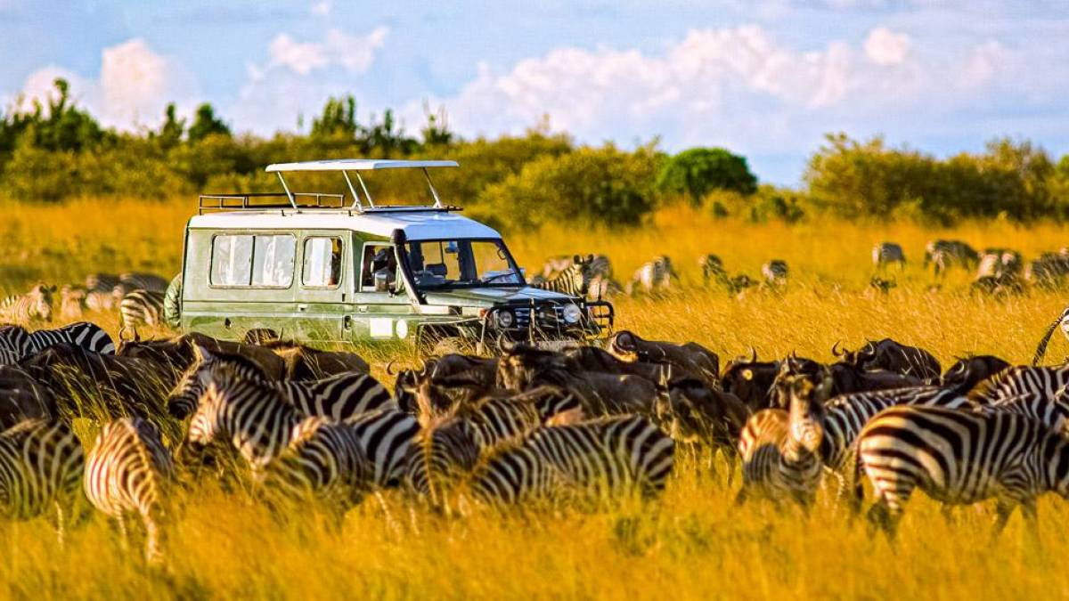 Safari-Fahrzeug umgeben von Zebras und Gnus in der Masai Mara |  William Davies, iStockphoto.com / Chamleon