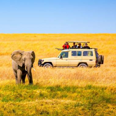 Erlebnisreiche Safari in Tansania |  Jen Pollack Bianco, EyeEm / Chamleon