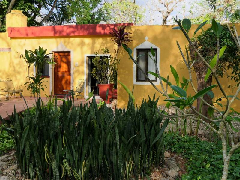  |  Henrik Heveldop / Chamleon