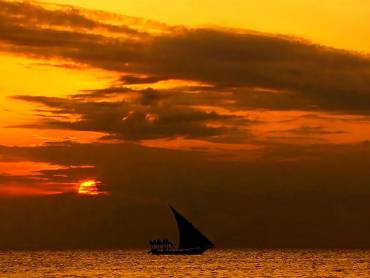 Videoteaser Tansania |  Chamleon