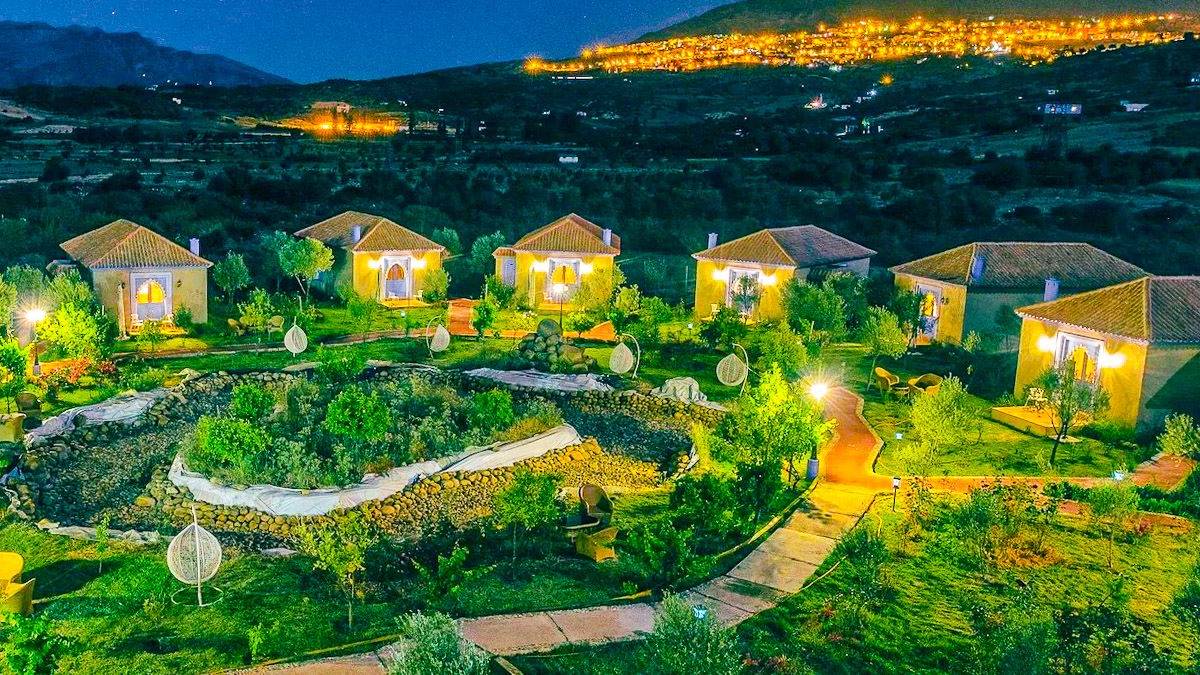 Dar Ba Sidi |  Dar Ba Sidi / Chamleon