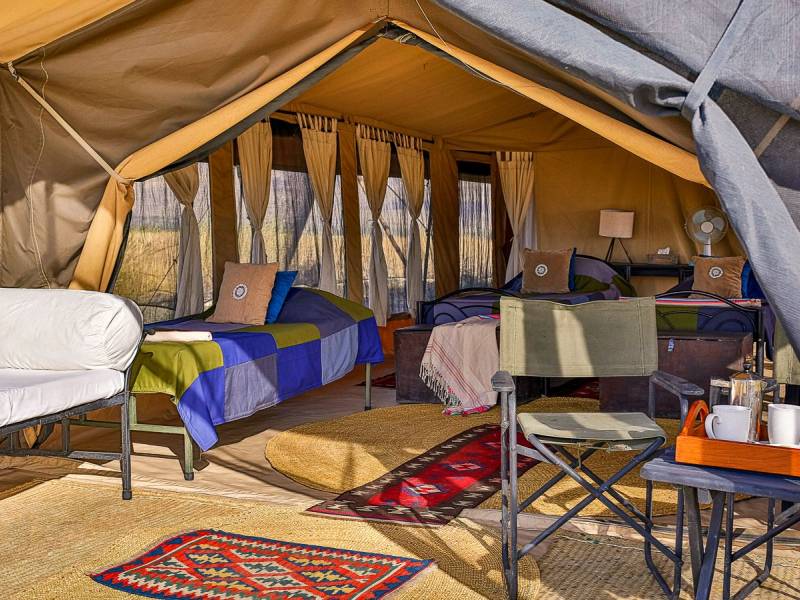 Lake Natron Camp |  Sorcha Easson, Lake Natron Camp / Chamleon