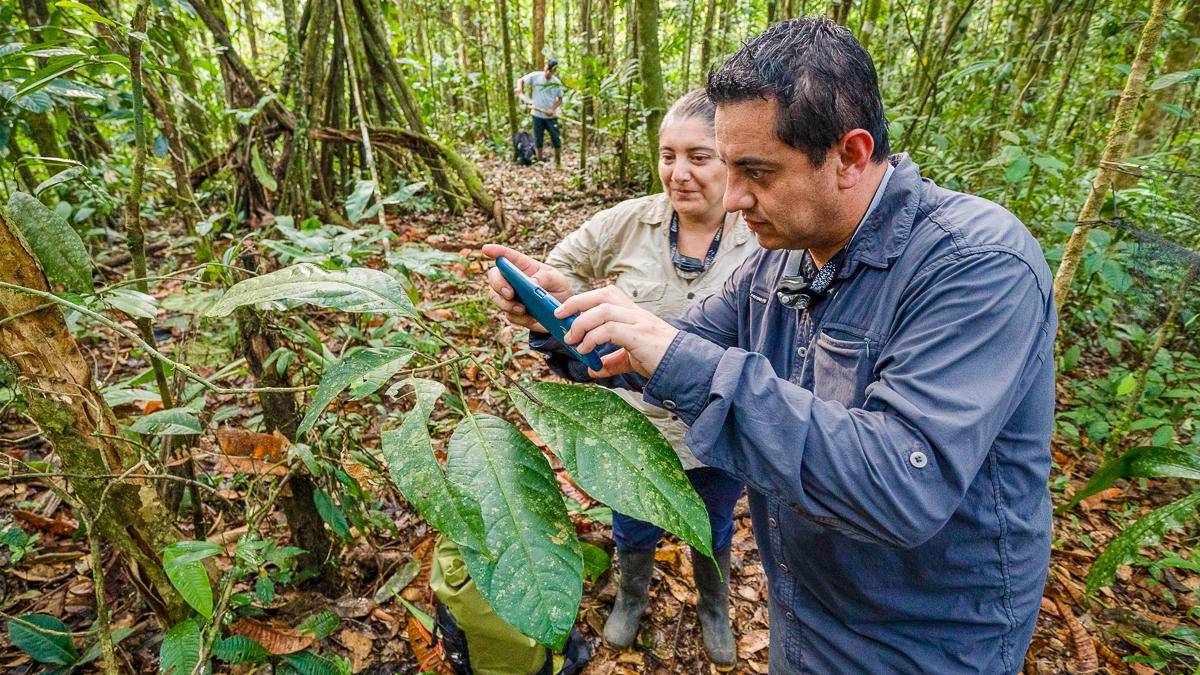 Wissenschaftler bei der Arbeit im Regenwald |  Gustavo Pazmio / Chamleon
